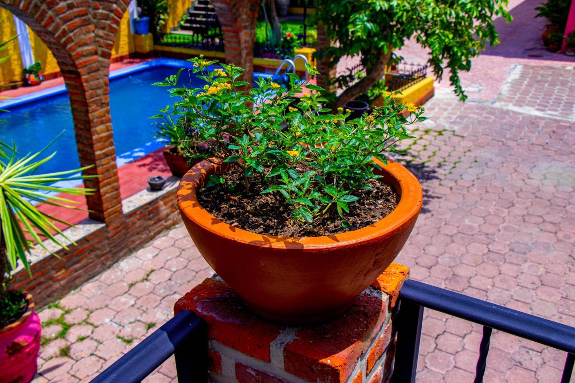Posada Las Margaritas Tlaquepaque Exterior foto